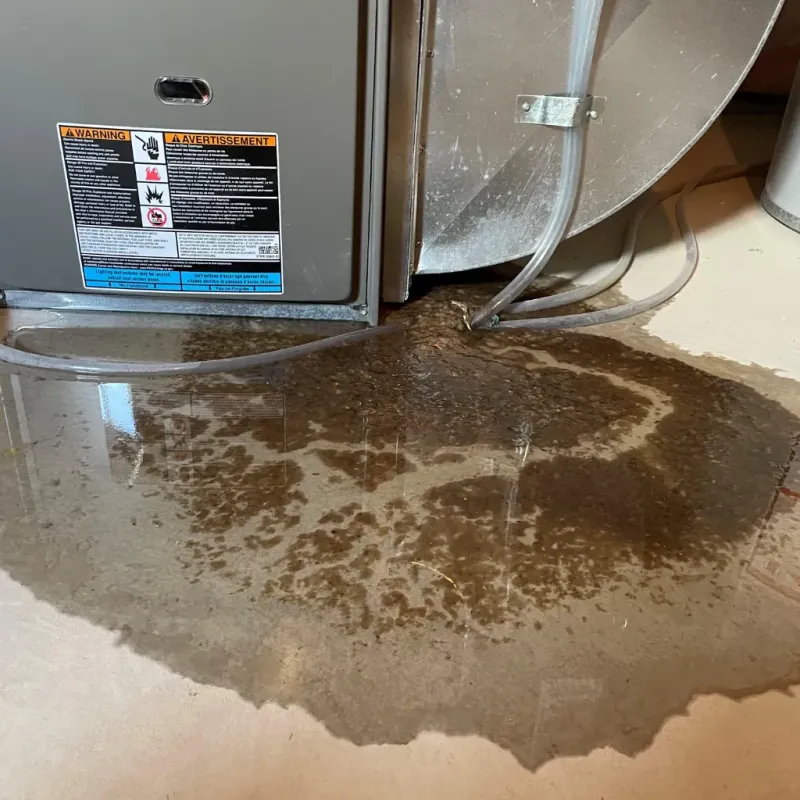 Appliance Leak Cleanup in Chickasaw County, MS